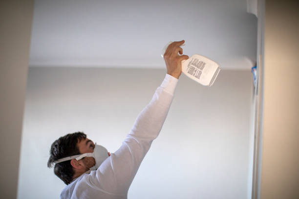 Best Attic Mold Remediation in Lockland, OH